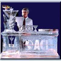 ice bar with luge