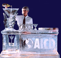 ice bar