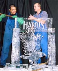 ice sculpture classes